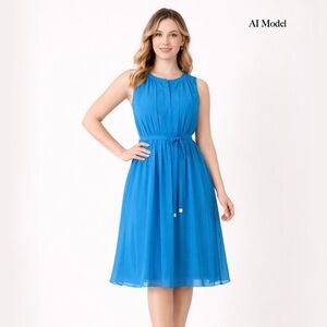 Dana Buchman Blue Pleated Dress